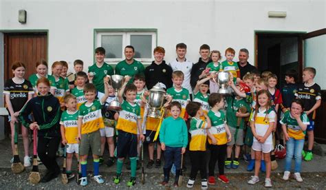 offaly gaa news.